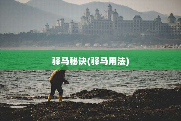 驿马秘诀(驿马用法)