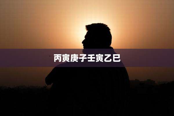 丙寅庚子壬寅乙巳