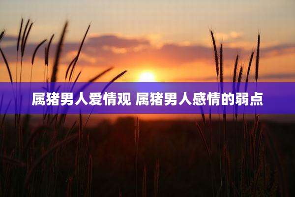 属猪男人爱情观 属猪男人感情的弱点