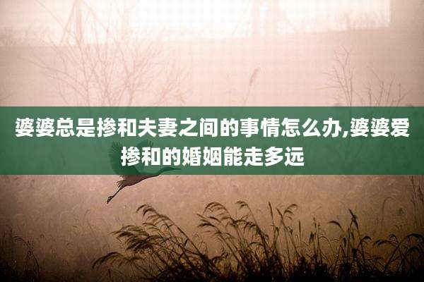 婆婆总是掺和夫妻之间的事情怎么办,婆婆爱掺和的婚姻能走多远