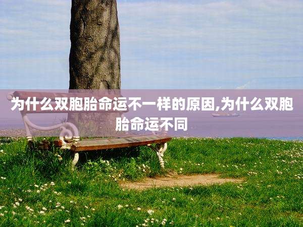 为什么双胞胎命运不一样的原因,为什么双胞胎命运不同
