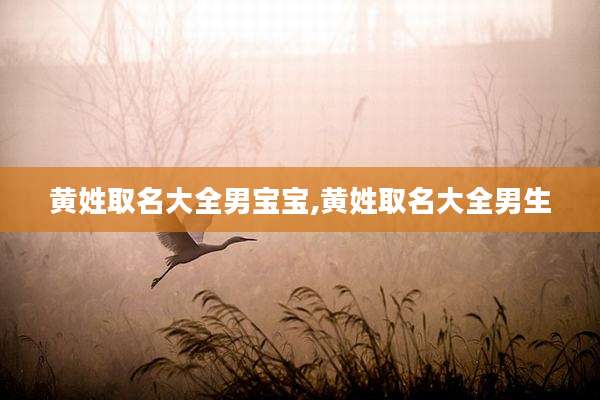 黄姓取名大全男宝宝,黄姓取名大全男生