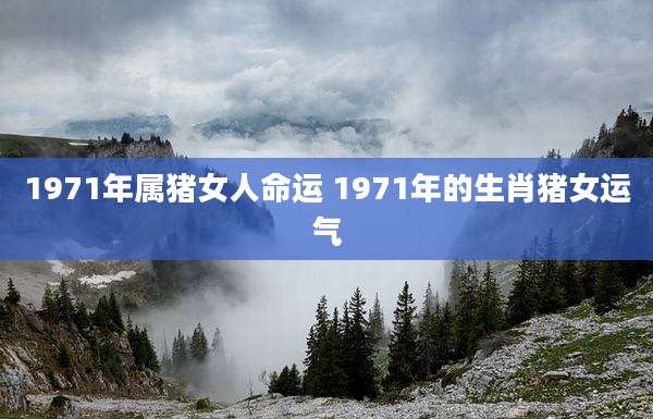 1971年属猪女人命运 1971年的生肖猪女运气