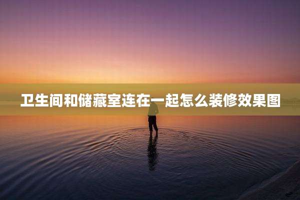卫生间和储藏室连在一起怎么装修效果图