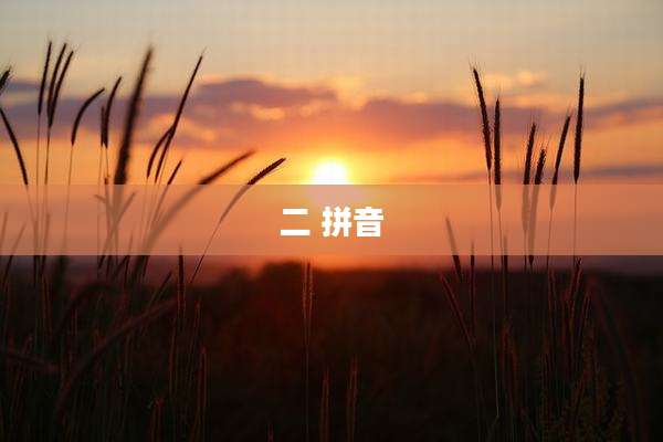 二 拼音
