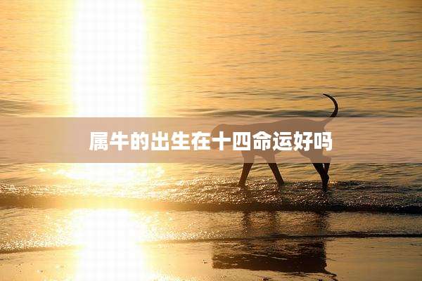 属牛的出生在十四命运好吗