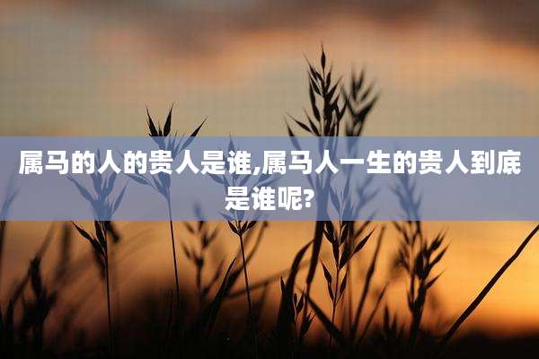 属马的人的贵人是谁,属马人一生的贵人到底是谁呢?