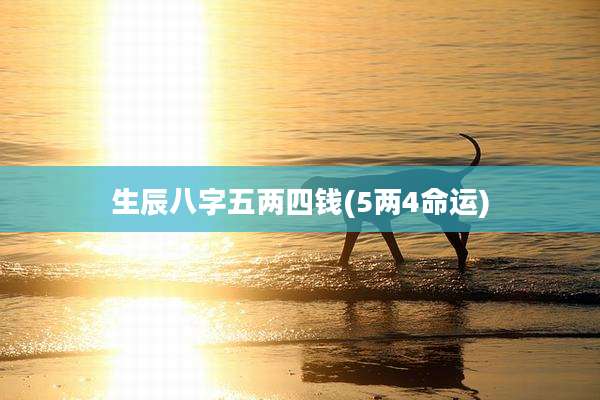 生辰八字五两四钱(5两4命运)