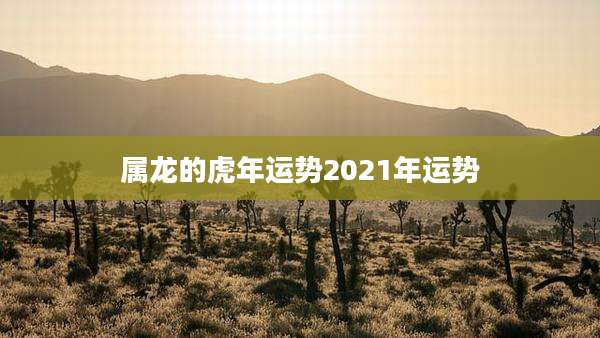 属龙的虎年运势2021年运势