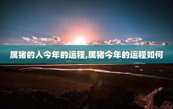 属猪的人今年的运程,属猪今年的运程如何