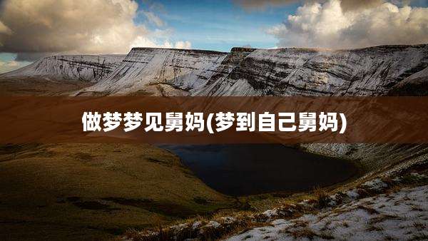做梦梦见舅妈(梦到自己舅妈)