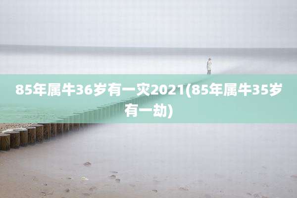 85年属牛36岁有一灾2021(85年属牛35岁有一劫)