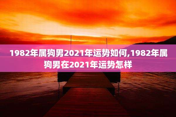 1982年属狗男2021年运势如何,1982年属狗男在2021年运势怎样