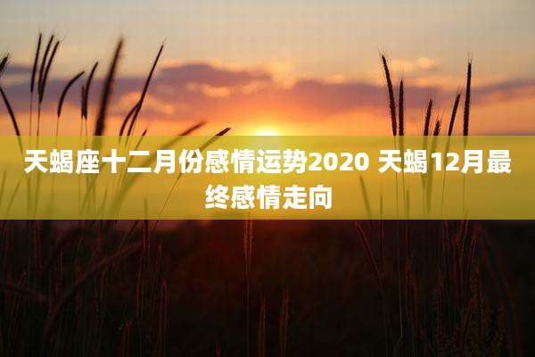 天蝎座十二月份感情运势2020 天蝎12月最终感情走向