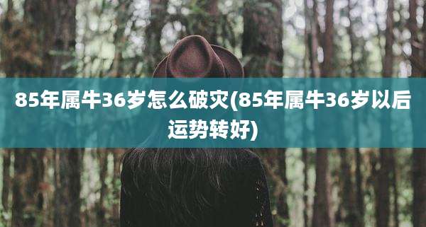 85年属牛36岁怎么破灾(85年属牛36岁以后运势转好)