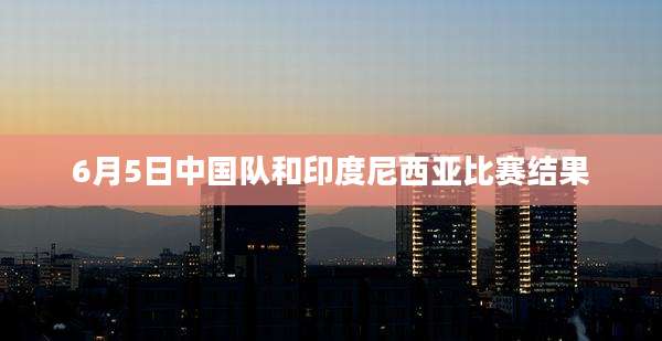 6月5日中国队和印度尼西亚比赛结果