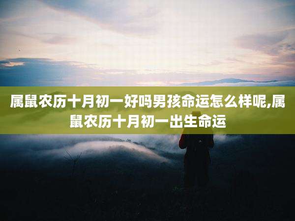 属鼠农历十月初一好吗男孩命运怎么样呢,属鼠农历十月初一出生命运