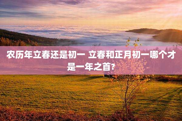 农历年立春还是初一 立春和正月初一哪个才是一年之首?
