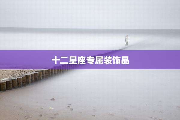 十二星座专属装饰品