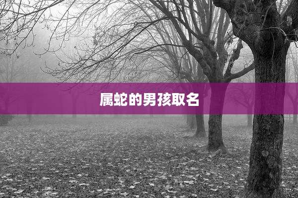 属蛇的男孩取名