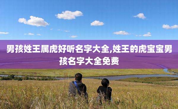 男孩姓王属虎好听名字大全,姓王的虎宝宝男孩名字大全免费