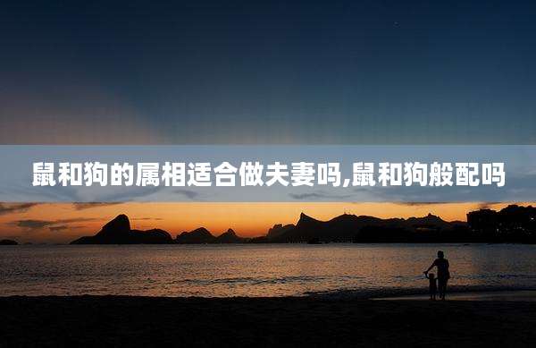 鼠和狗的属相适合做夫妻吗,鼠和狗般配吗