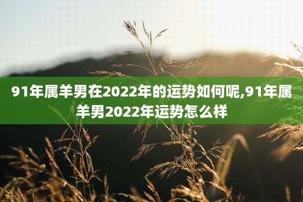 91年属羊男在2022年的运势如何呢,91年属羊男2022年运势怎么样