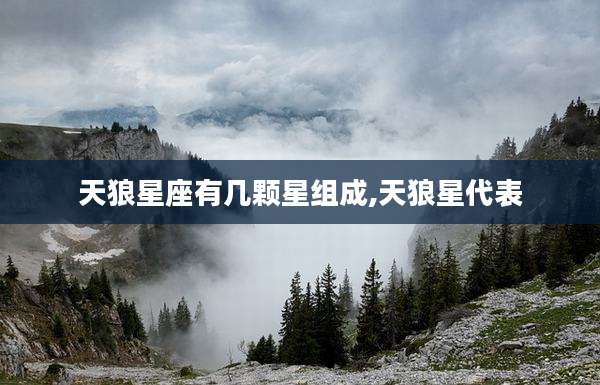天狼星座有几颗星组成,天狼星代表