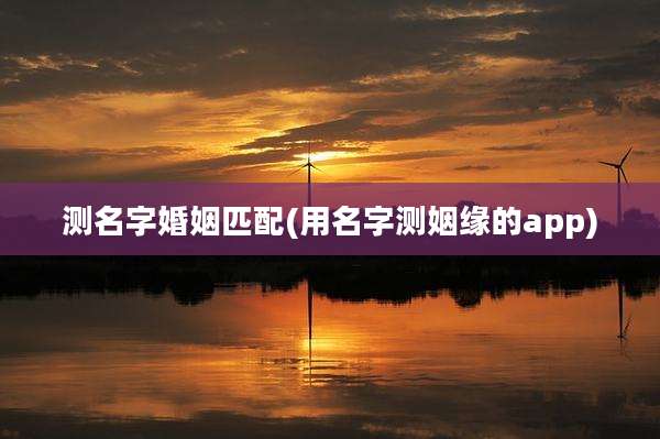 测名字婚姻匹配(用名字测姻缘的app)