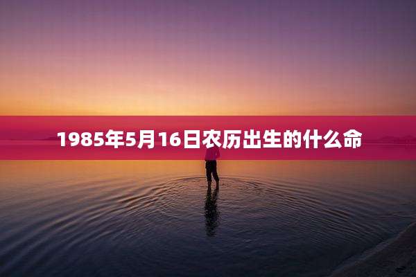 1985年5月16日农历出生的什么命