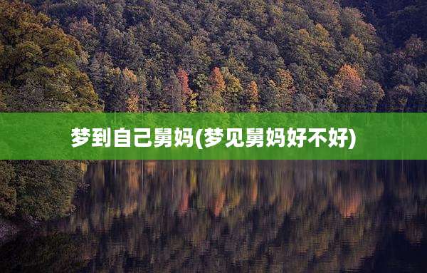 梦到自己舅妈(梦见舅妈好不好)