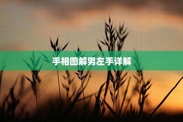 手相图解男左手详解