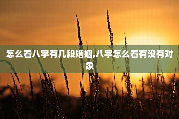 怎么看八字有几段婚姻,八字怎么看有没有对象