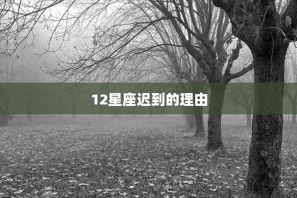 12星座迟到的理由