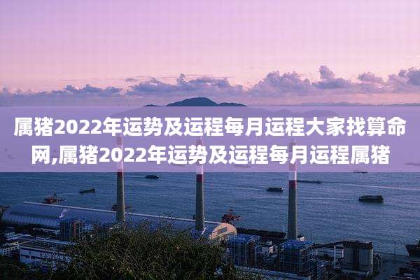 属猪2022年运势及运程每月运程大家找算命网,属猪2022年运势及运程每月运程属猪