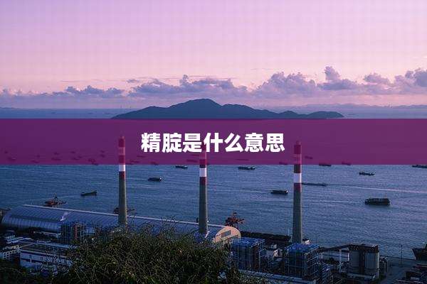 精腚是什么意思