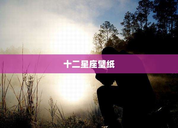 十二星座璧纸