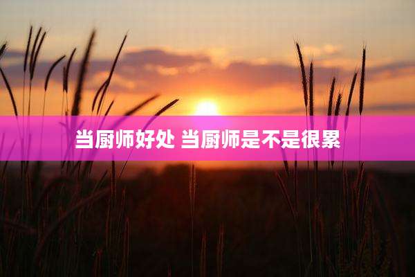 当厨师好处 当厨师是不是很累