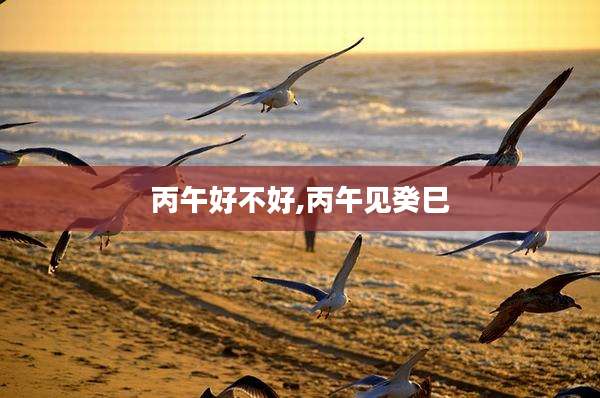 丙午好不好,丙午见癸巳