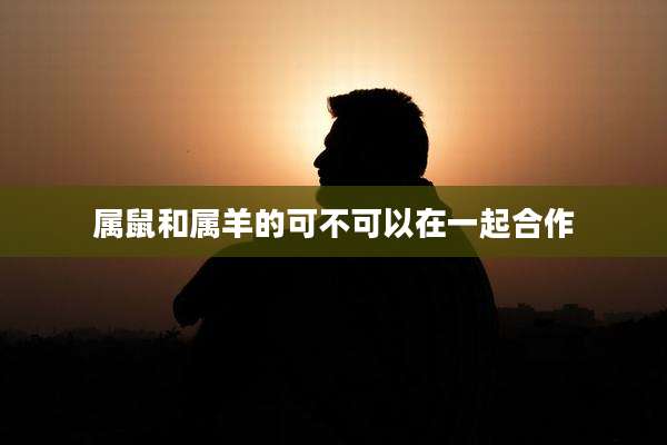 属鼠和属羊的可不可以在一起合作