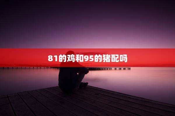 81的鸡和95的猪配吗