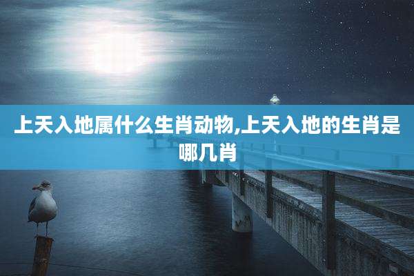 上天入地属什么生肖动物,上天入地的生肖是哪几肖