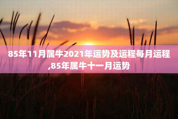 85年11月属牛2021年运势及运程每月运程,85年属牛十一月运势