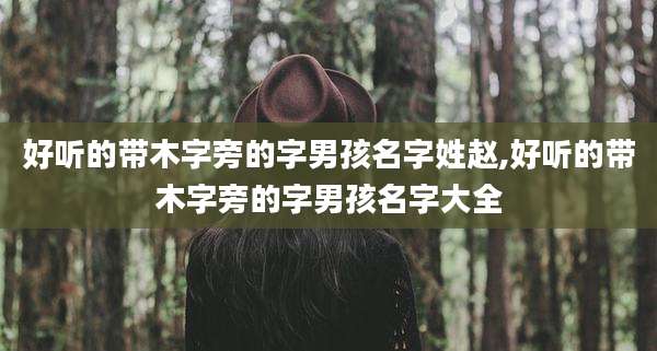 好听的带木字旁的字男孩名字姓赵,好听的带木字旁的字男孩名字大全
