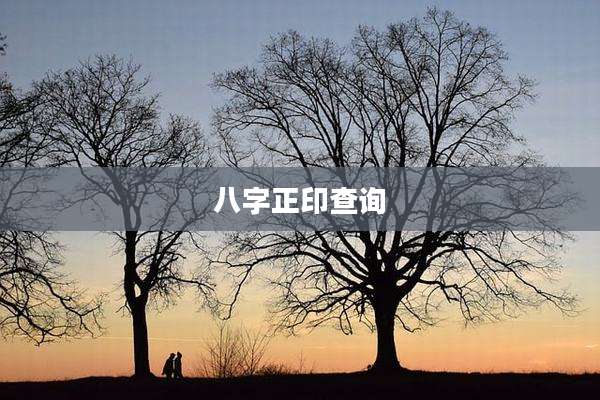 八字正印查询
