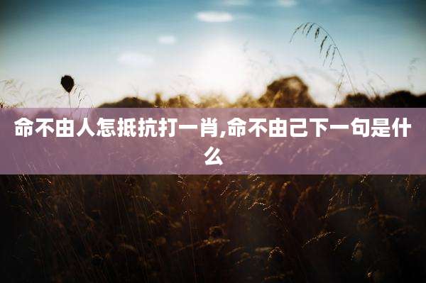 命不由人怎抵抗打一肖,命不由己下一句是什么