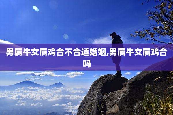 男属牛女属鸡合不合适婚姻,男属牛女属鸡合吗