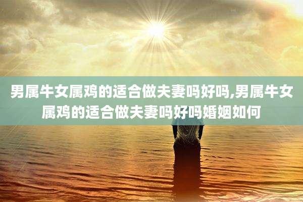 男属牛女属鸡的适合做夫妻吗好吗,男属牛女属鸡的适合做夫妻吗好吗婚姻如何