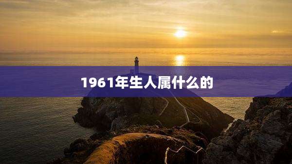 1961年生人属什么的