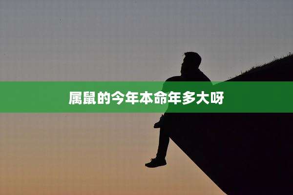 属鼠的今年本命年多大呀